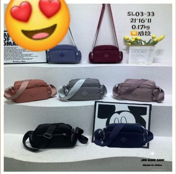 Cod. SL03-33