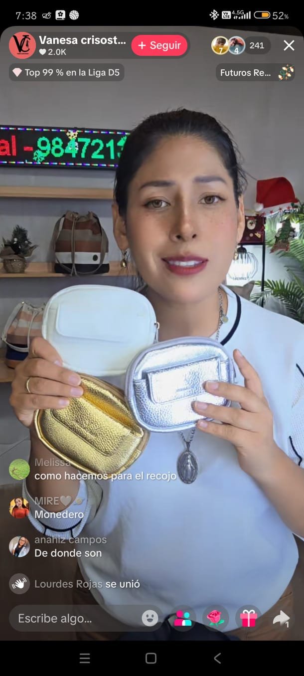 Monederos tarjeteros vanesa